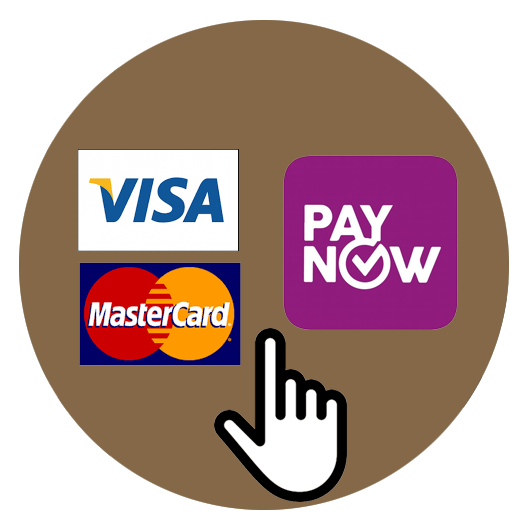 Make payment online (Paynow / Credit Card)